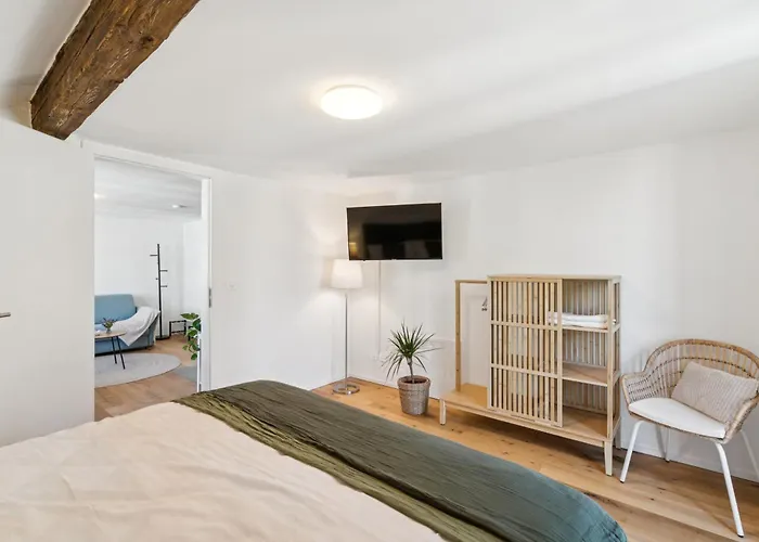 Apartamento Klara 1031 - Olma, Spital, Uni St- Gallen *